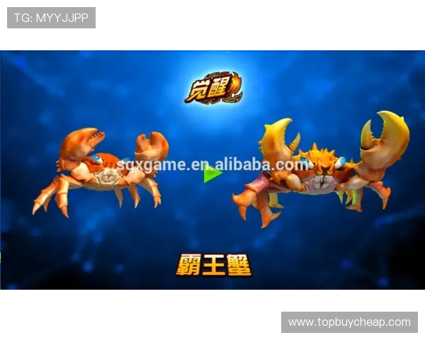 关于PA Fish Hunter官网的详细介绍与最新活动信息全攻略